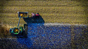 Seguro Técnico Contratista